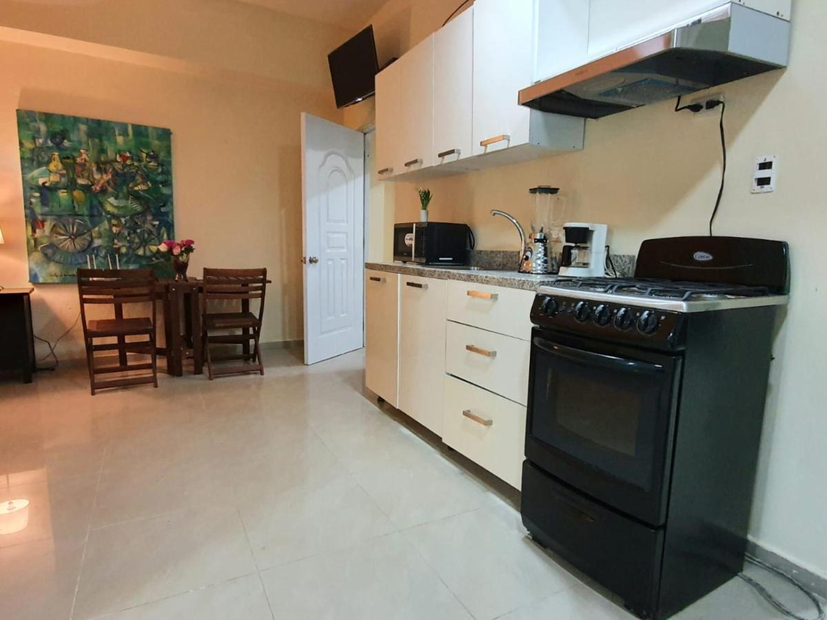 Apartamentos Roman Санто-Домінго Екстер'єр фото